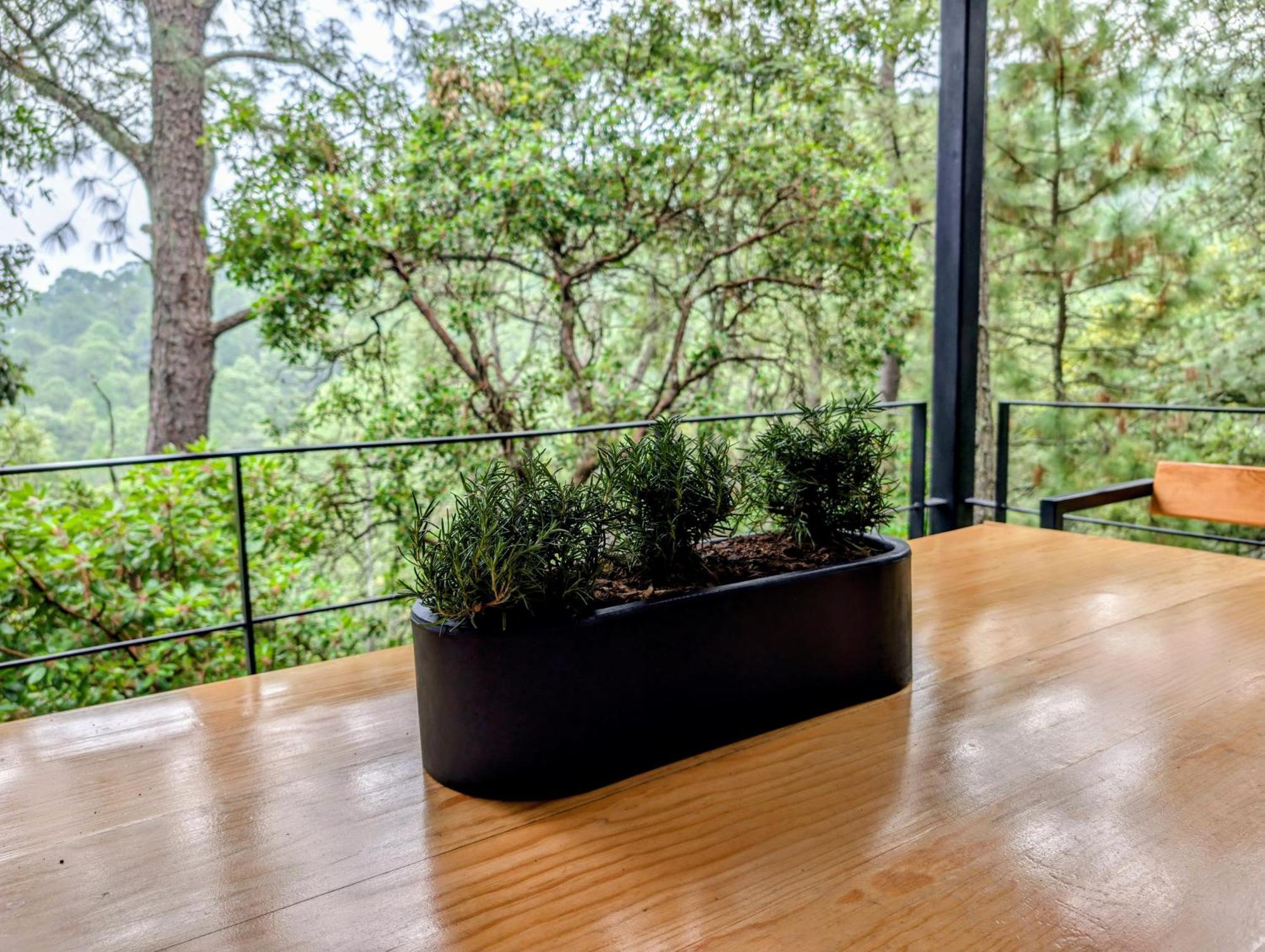 Cabana La Finca マサミトラ エクステリア 写真