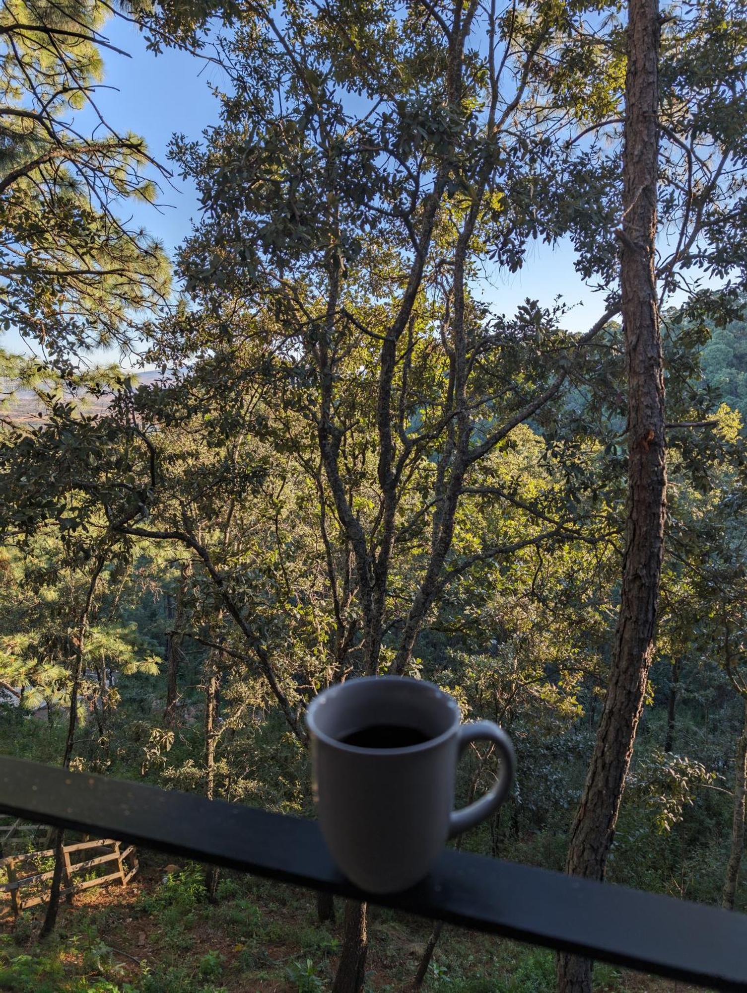 Cabana La Finca マサミトラ エクステリア 写真